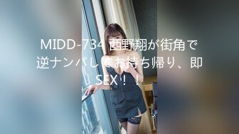 MIDD-734 西野翔が街角で逆ナンパしてお持ち帰り、即SEX！！