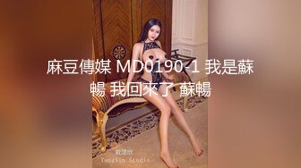 麻豆傳媒 MD0190-1 我是蘇暢 我回來了 蘇暢