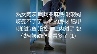 熟女阿姨 啊啊亚麻跌 啊啊妈呀受不了了 丰腴的身材 肥嘟嘟的鲍鱼 没控制住内射了 貌似阿姨动作片看多了 (1)