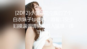 [2DF2]小宝寻花今晚约了个白衣妹子tp啪啪，蹲着口交少妇摸逼调情骑乘后入猛操 - [BT种子]