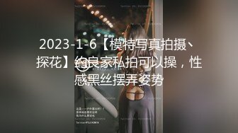 2023-1-6【模特写真拍摄丶探花】约良家私拍可以操，性感黑丝摆弄姿势