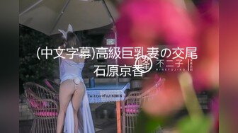 (中文字幕)高級巨乳妻の交尾 石原京香