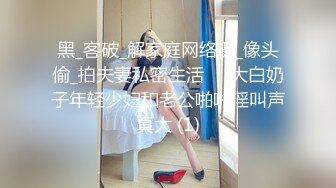 黄先生vs大奶校服萝莉