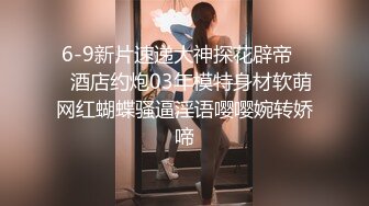 性感的会务接待