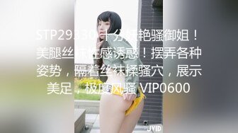 涩会传媒SH-012合租的陌生人-吴心语【MP4/331MB】