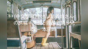 (中文字幕)中出しお義姉さんの誘惑～美貌と淫技で誘う兄嫁～ 本田岬