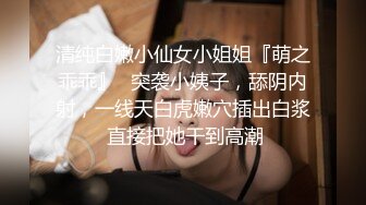   洋老外探访性都东莞之网袜猫咪装小野模