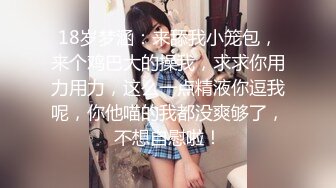 【新片速遞】《台湾情侣泄密》❤️高中少女与男友啪啪手持相机拍摄