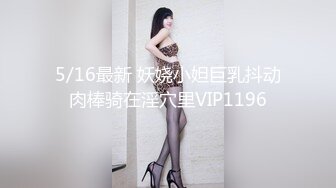 骚老婆午夜激情