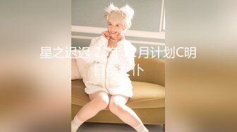 星之迟迟 23年12月计划C明日奈女仆