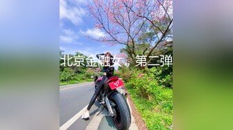 yuuhui玉汇 蜡狐