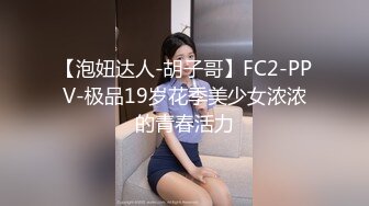 MD-0208快感刺激的极致调教-夏晴子 苏清歌