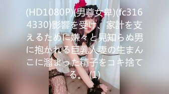 91制片厂 ZCM015 屌丝硬上风骚白富美 李蓉蓉