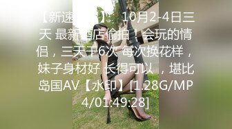 NHAV-040约炮制服性感御姐