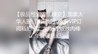 好一个无毛嫩穴 鸡动不已 爆机少女喵小吉 双子 拉姆蕾姆 扑倒双飞