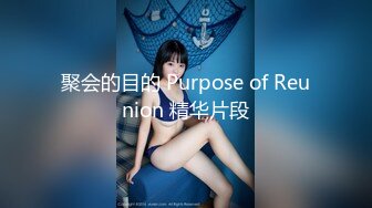 聚会的目的 Purpose of Reunion 精华片段