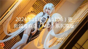 2024年11月份（1108）更新國產麻豆（MD）系列原版