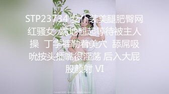 STP23734 女仆装美腿肥臀网红骚女  跪地翘起等待被主人操  丁字裤勒着美穴  舔屌吸吮按头插嘴很淫荡 后入大屁股颜射 VI