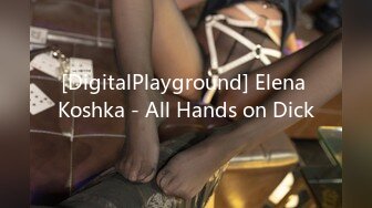 [DigitalPlayground] Elena Koshka - All Hands on Dick