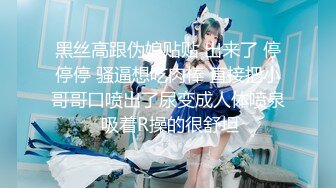 守望先锋 法老之鹰艾玛莉（Pharah）白人加长版