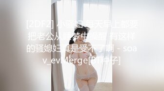 【新片速遞】   2022-12-3【小小寻花】新晋老哥探花，丰满大奶外围骚女，玩的很花，大奶子乳交，跪在沙发后入