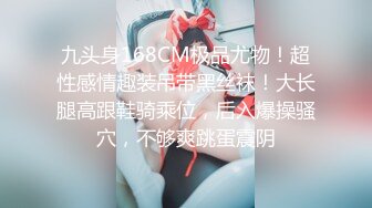 网调小炮友