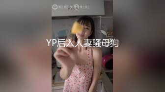 YP后入人妻骚母狗