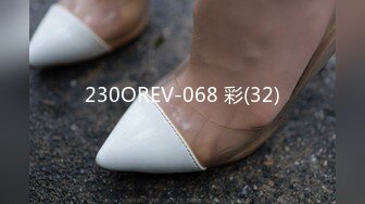 230OREV-068 彩(32)