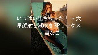 SHKD-587 潜入捜査官 翔 犯罪の海に堕ちる美しき人魚 西野翔