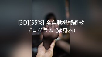 [3D][55%] 全自動機械調教プログラム (緊身衣)