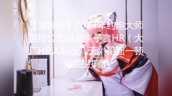 麻豆传媒 MDSR0002-2《性工作者》EP2 AV女优的真情告白-夏晴子