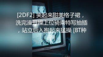 5/16最新 秀人网巨乳网红朱可儿T裤全程塞进逼里尽显一线天超爆VIP1196