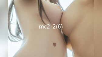 mc2-2(6)