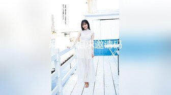 黏黏团子兔 NO.003 蕾姆