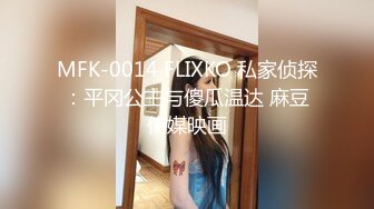 MFK-0014 FLIXKO 私家侦探：平冈公主与傻瓜温达 麻豆传媒映画