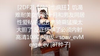 十三坊隐藏版极致美尻