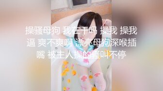 STP28442 起点传媒 性视界传媒 XSJ049 月光族拖欠房租 只好肉偿抵债