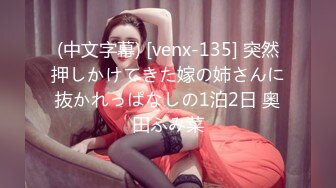 (中文字幕) [venx-135] 突然押しかけてきた嫁の姉さんに抜かれっぱなしの1泊2日 奥田ふみ菜